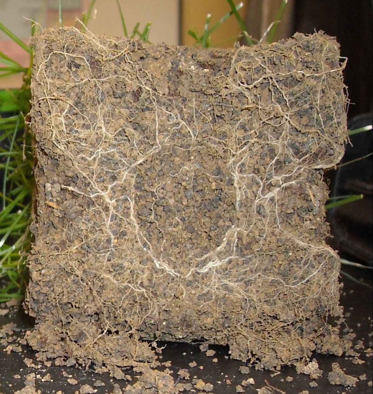 Teated-Soil-Sample.jpg